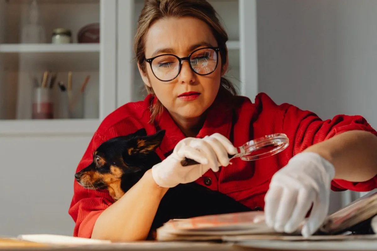 search analysis